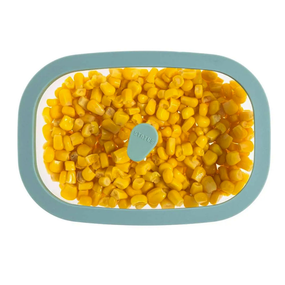 Вакуумный контейнер Status Fresko 23 Mint - фото 2