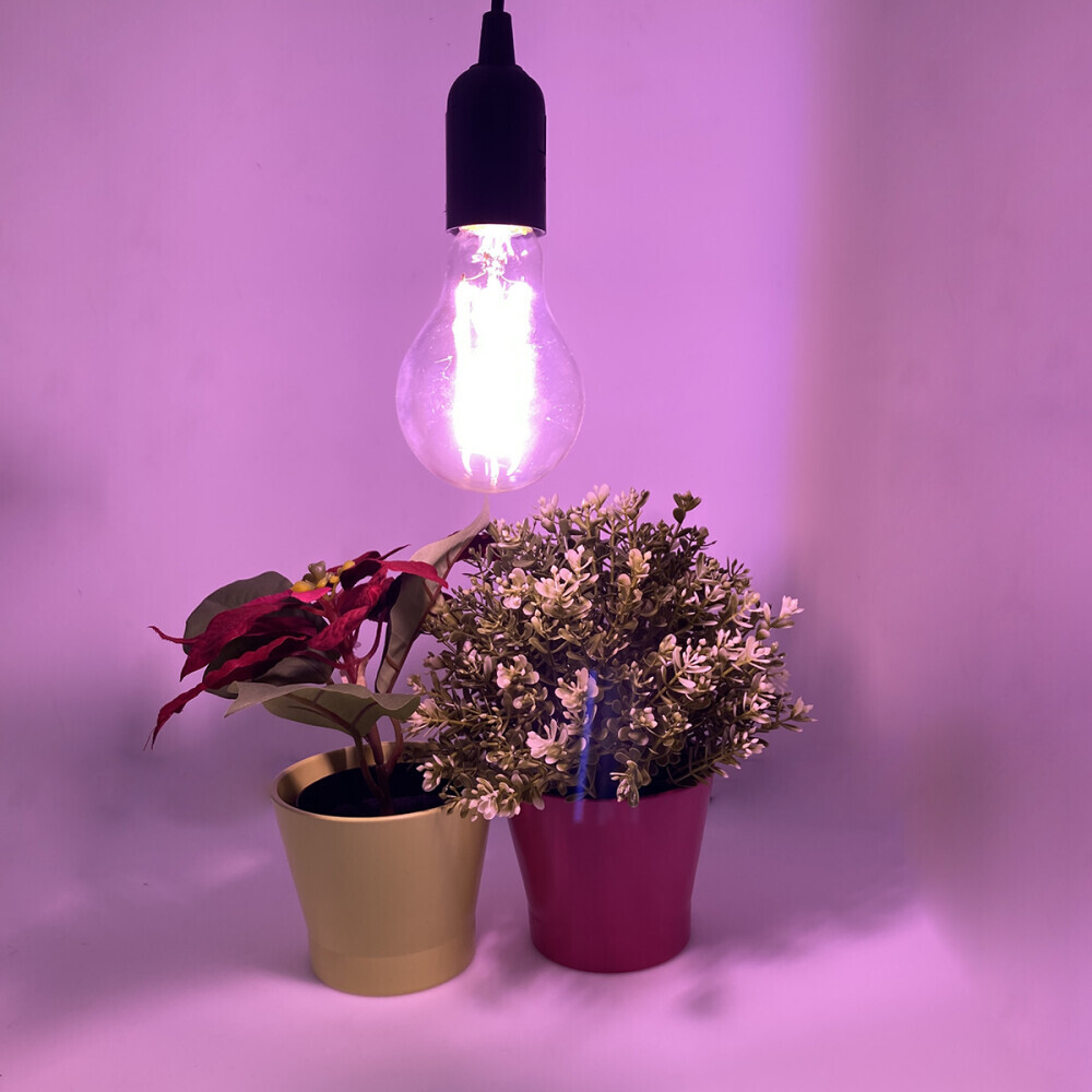 Филаментная лампочка Espada E-E27F-10 (10 Вт, E27) - фото 2