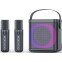 Портативная акустика iconBIT K702B Black - TRS2406