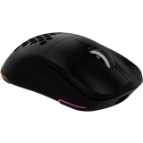 Мышь Oklick 900GMW Black