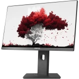 Монитор RDW Computers 24" RDW2402K (F00B3) (RDW2402K/F00B3)