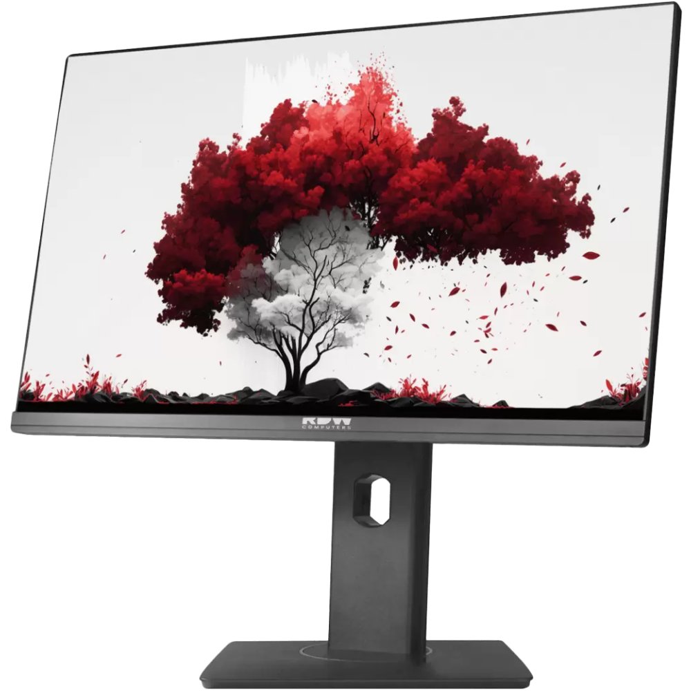 Монитор RDW Computers 24" RDW2402K (F00B3) - RDW2402K/F00B3 - фото 2