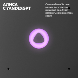 Умная колонка Яндекс Станция Мини 3 серая (YNDX-00027GRY)