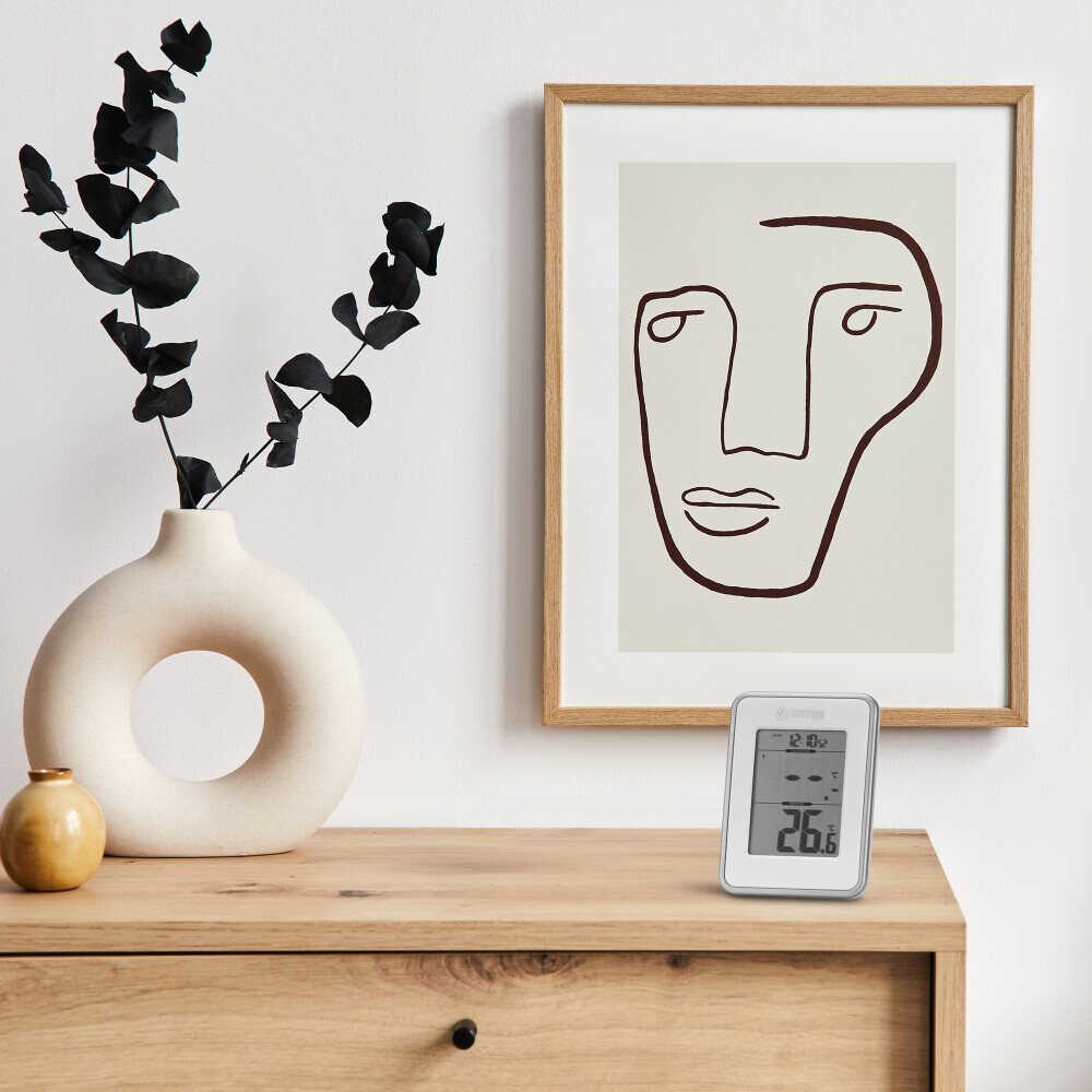 Термометр VITEK VT-6408 - фото 5