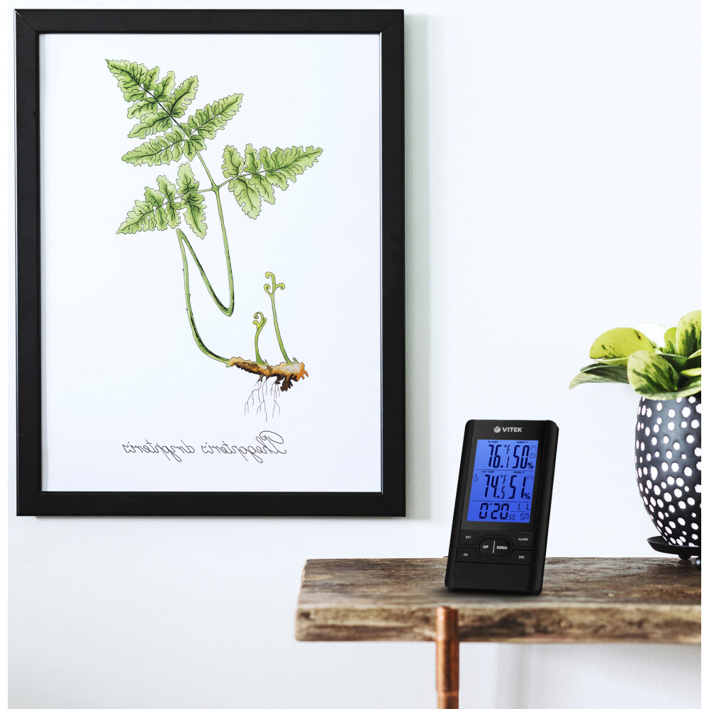 Метеостанция VITEK VT-3532 BK - фото 5