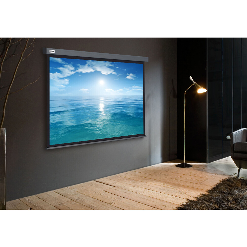 Экран Cactus Wallscreen 104.6x186см (CS-PSW-104X186-SG) - фото 3