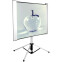Экран Cactus TriAlExpert 102x180см (CS-PSTALE-180X102)