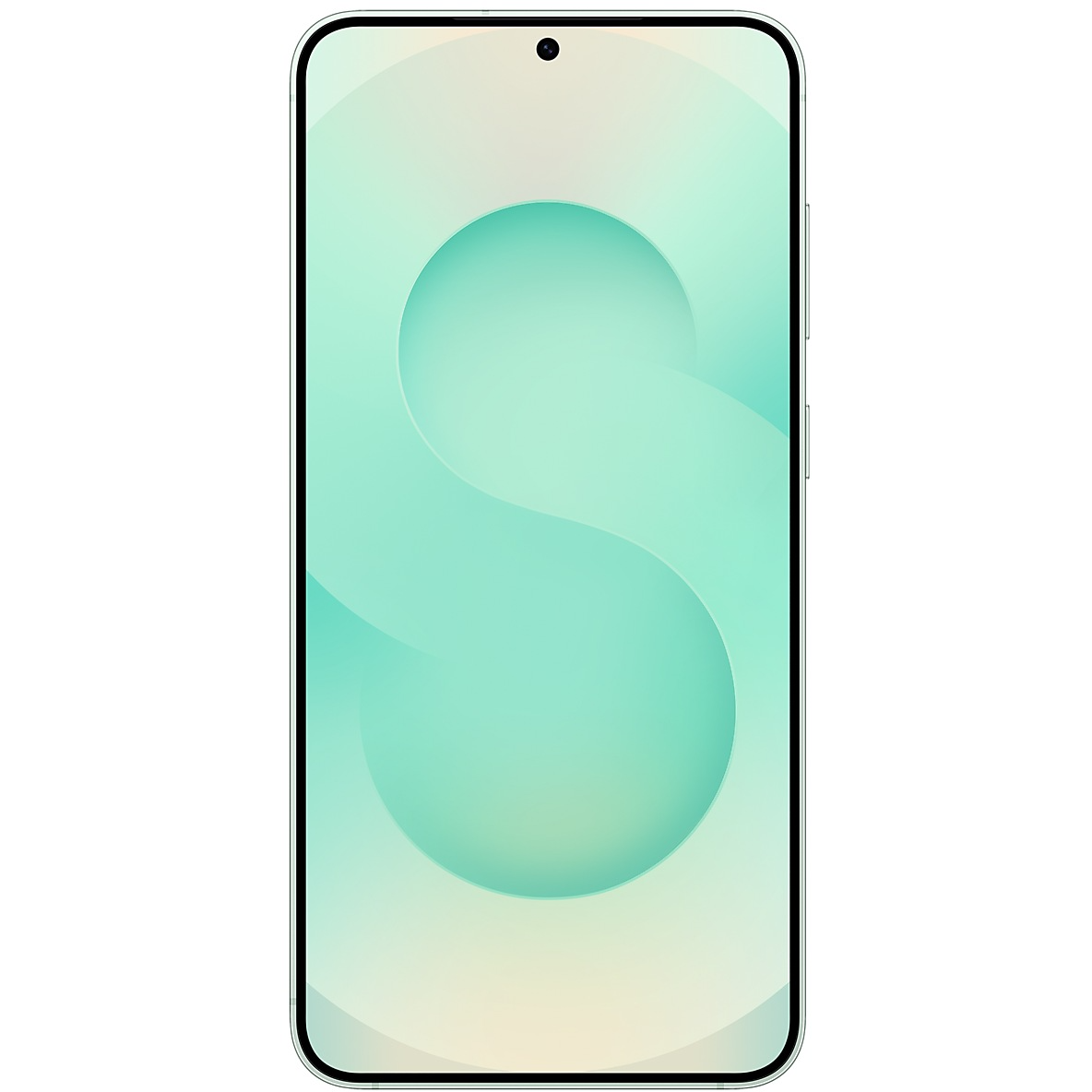 Смартфон Samsung Galaxy S25+ 12/256Gb Mint (SM-S936BLGBCAU) - фото 3