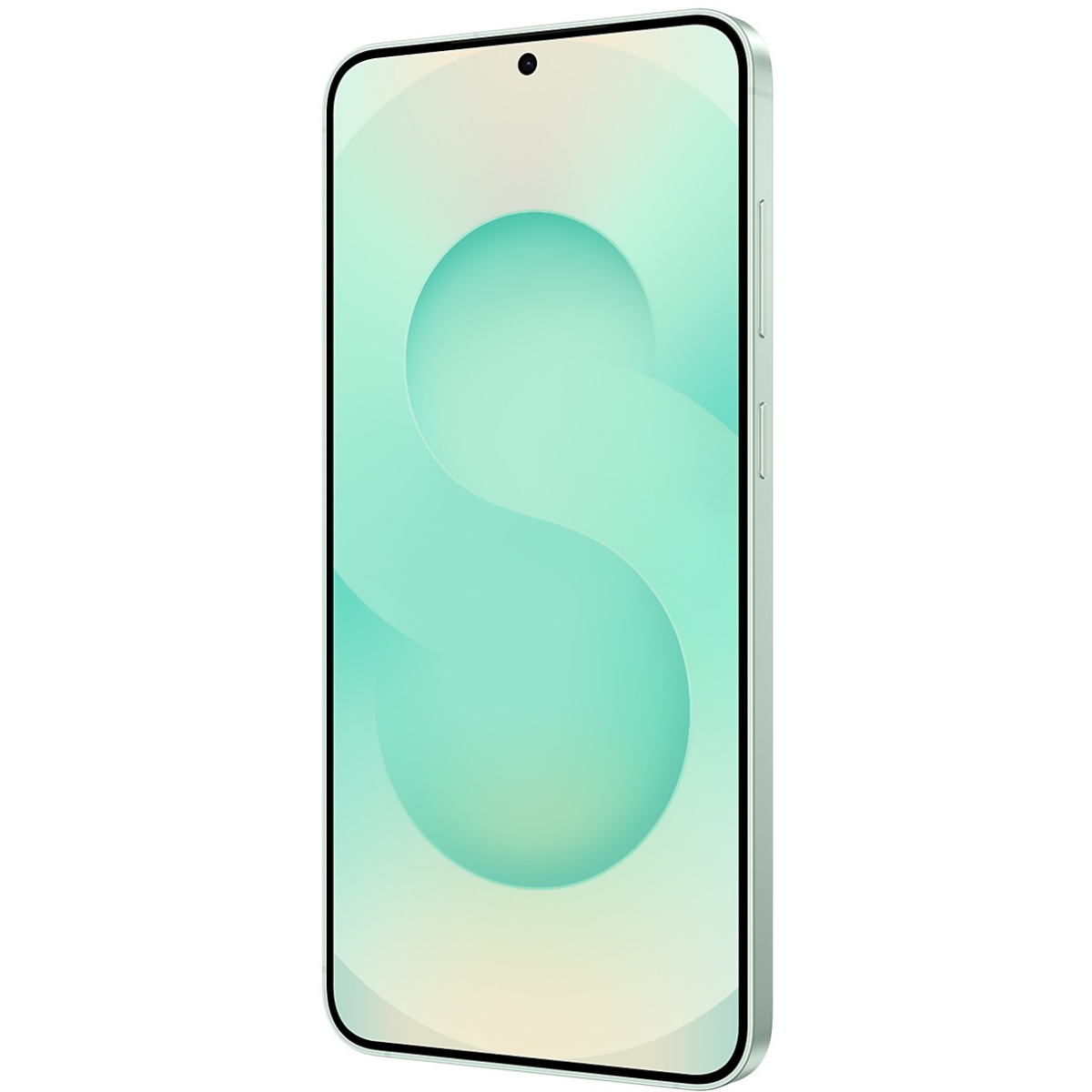 Смартфон Samsung Galaxy S25+ 12/512Gb Mint (SM-S936BLGCCAU) - фото 4