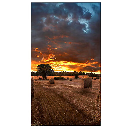 ЖК панель Samsung 46" VM46B-U - LH46VMBUBGBXCI - фото 5