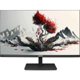 Монитор RDW Computers 24" 2401K (F08В3120V2A1) (2401K/F08В3120V2A1)