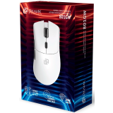 Мышь Oklick 801GW White