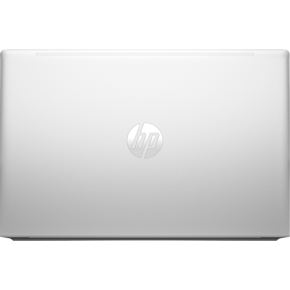 Ноутбук HP ProBook 450 G10 (816N6EA) - фото 7
