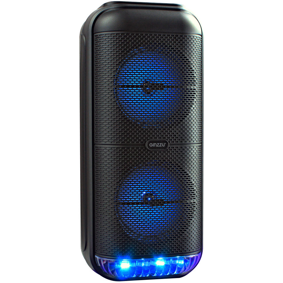Портативная акустика Ginzzu GM-235 - фото 3