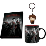 Подарочный набор ABYstyle Harry Potter Harry Ron Hermione (ABYPCK249)