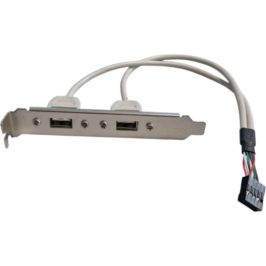Задняя панель портов Bion BXP-MB-2USB