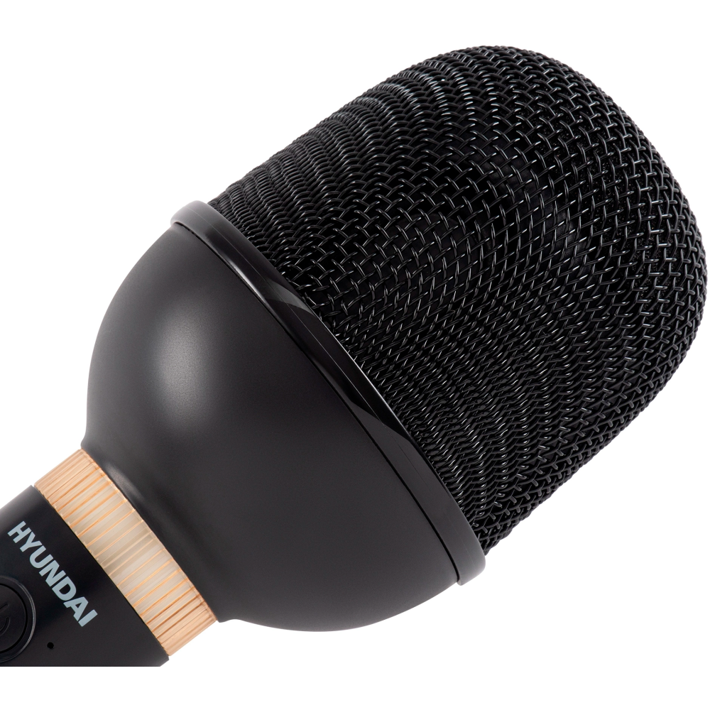 Микрофон Hyundai H-MIC101 - фото 7