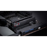 Оперативная память 32Gb DDR5 6000MHz G.Skill Flare X5 (F5-6000J3036F16GX2-FX5) (2x16Gb KIT)