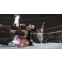 Игра WWE 2K24 для Sony PS5 - 5026555437219 - фото 2