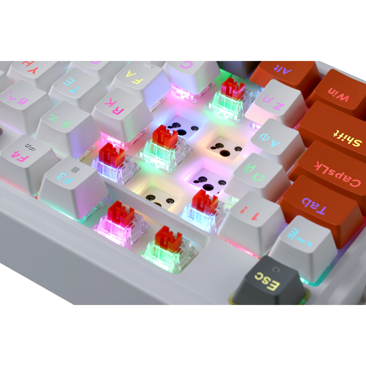Клавиатура Redragon Gloria - 72216 - фото 11
