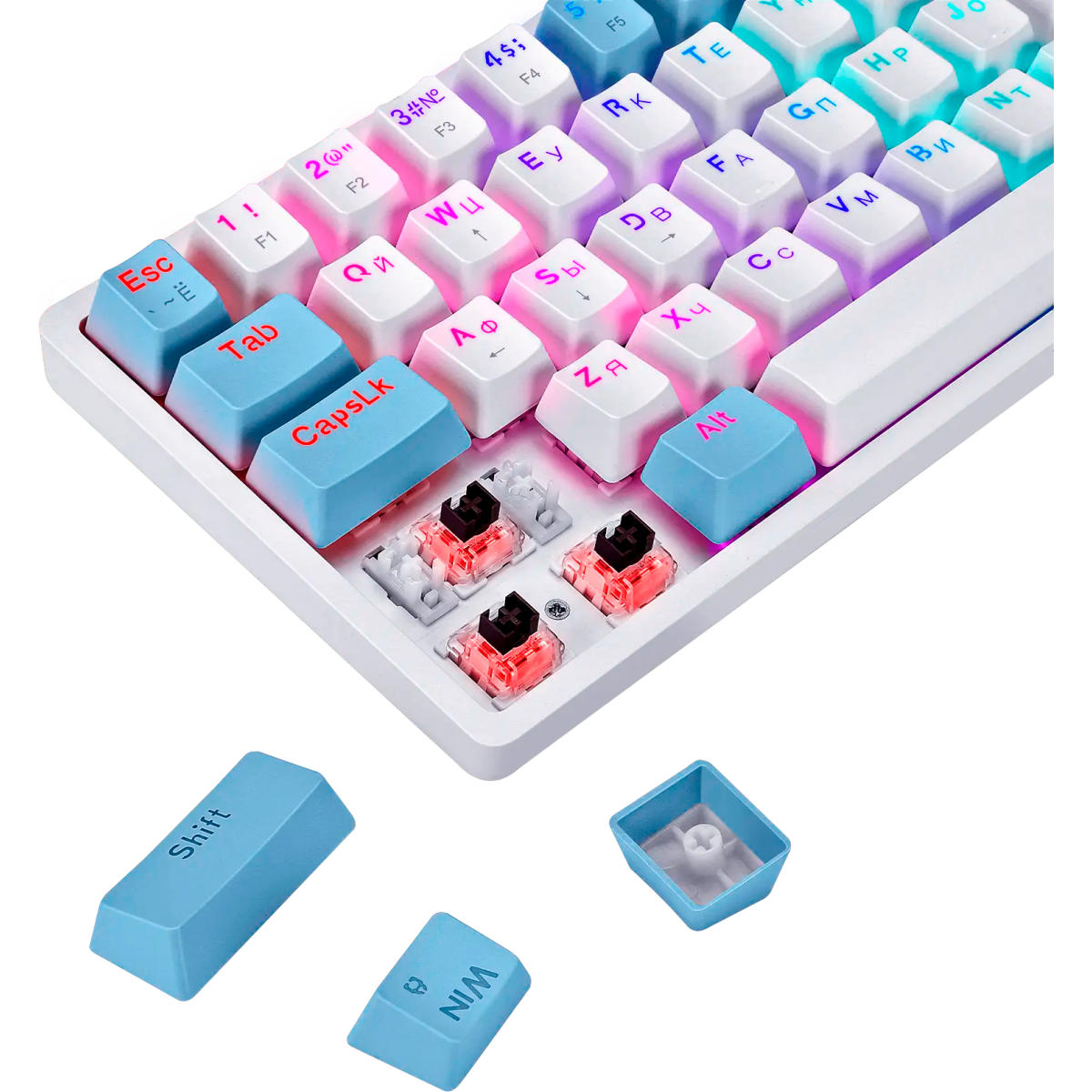 Клавиатура Defender Amox GK-585 (45585) - фото 4