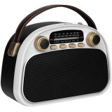 Радиоприёмник Ritmix RPR-040 White