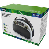 Радиоприёмник Ritmix RPR-040 White