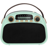 Радиоприёмник Ritmix RPR-040 Mint