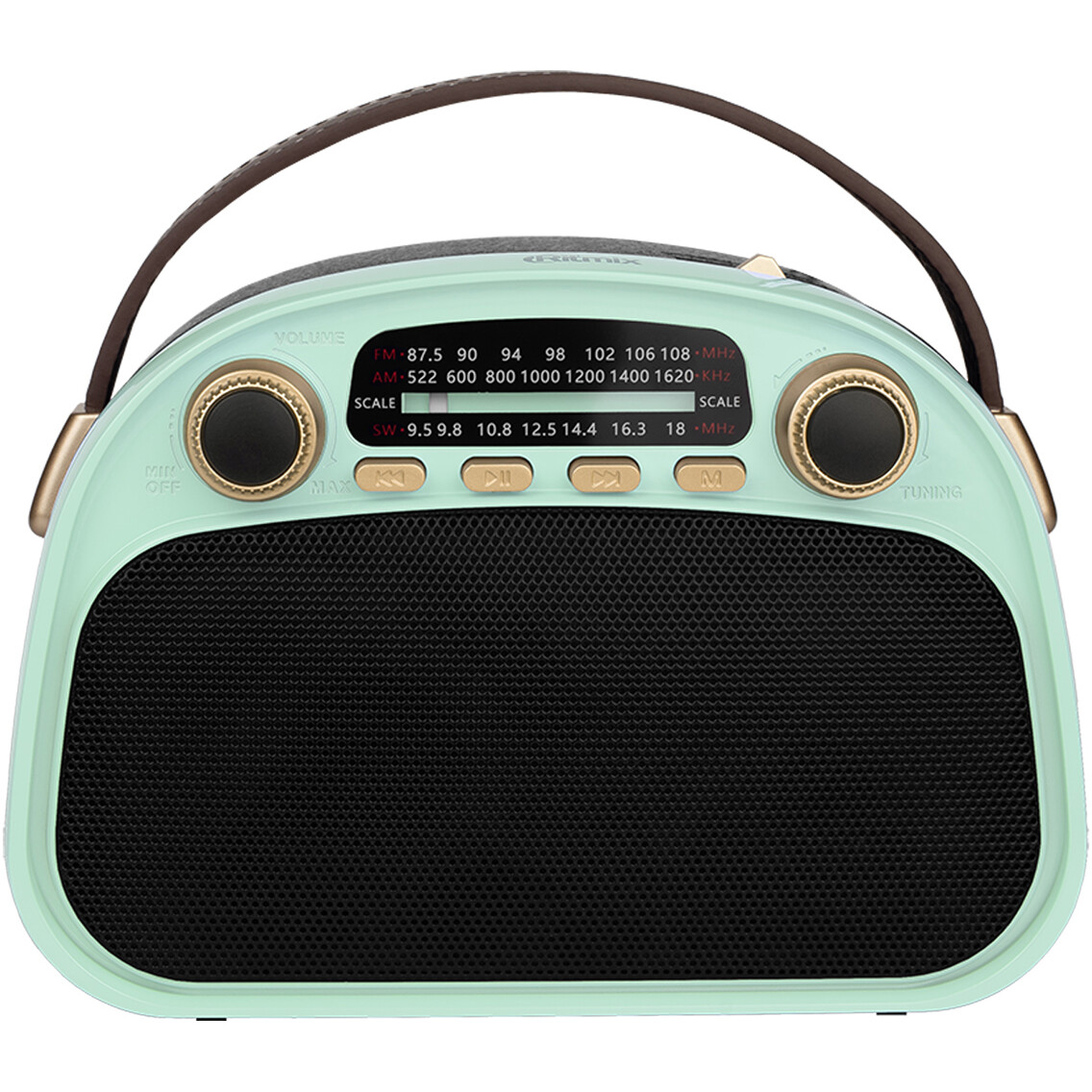 Радиоприёмник Ritmix RPR-040 Mint