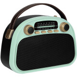 Радиоприёмник Ritmix RPR-040 Mint