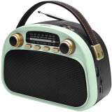 Радиоприёмник Ritmix RPR-040 Mint
