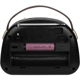 Радиоприёмник Ritmix RPR-040 Mint
