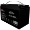 Аккумуляторная батарея Prometheus Energy PE 12100G