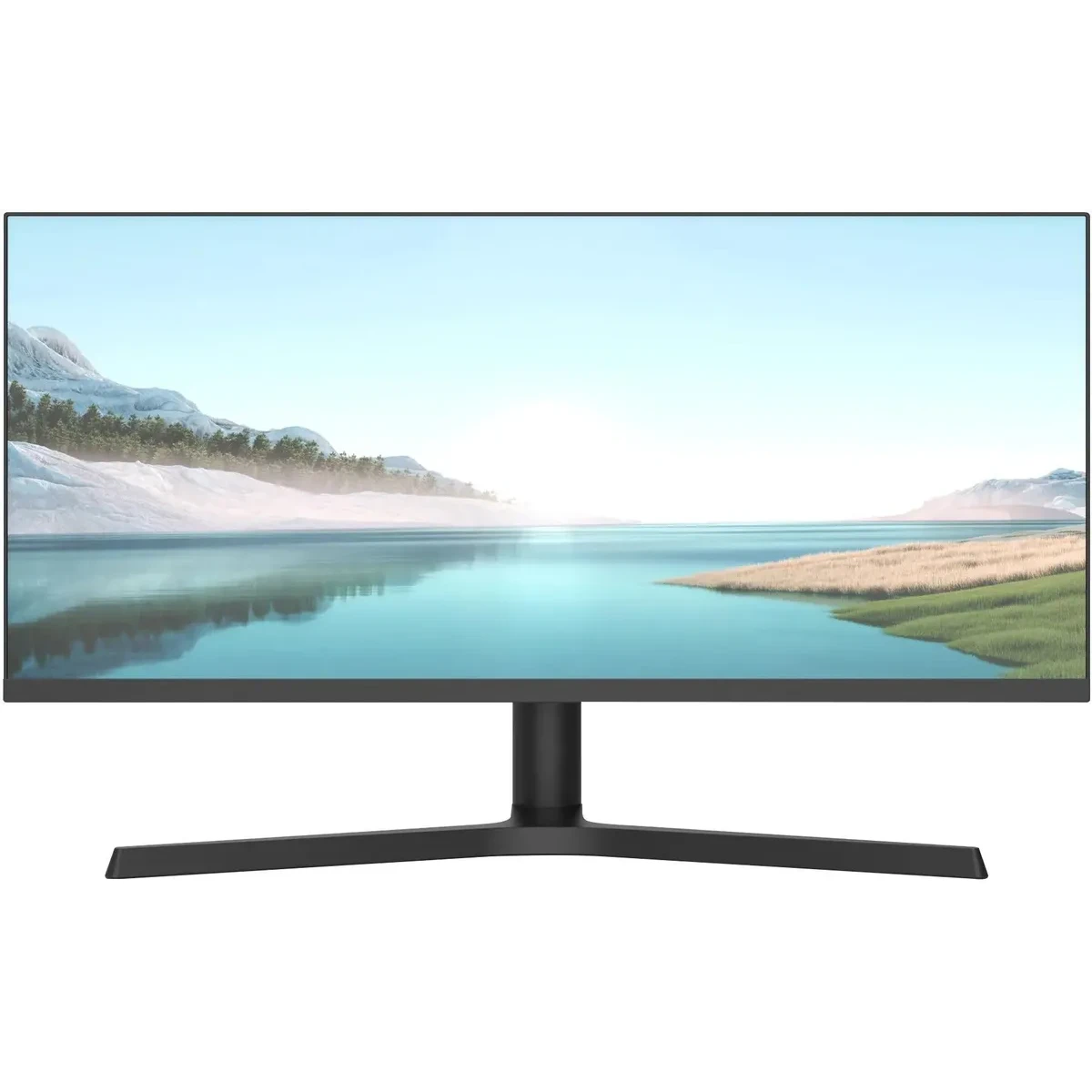 Монитор NPC 29" MZ300L