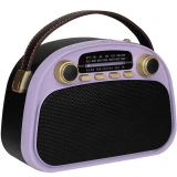 Радиоприёмник Ritmix RPR-040 Lavender