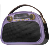 Радиоприёмник Ritmix RPR-040 Lavender