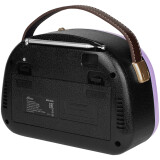 Радиоприёмник Ritmix RPR-040 Lavender