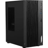 Настольный компьютер MSI PRO DP180 14 (9S6-B0A741-802)
