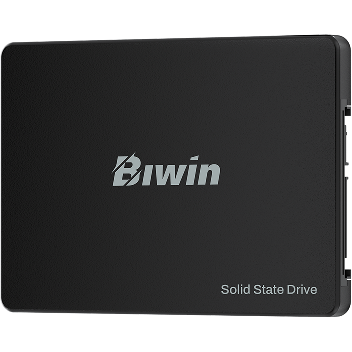 Накопитель SSD 256Gb Biwin M100 (BM100NN256G-RGX)
