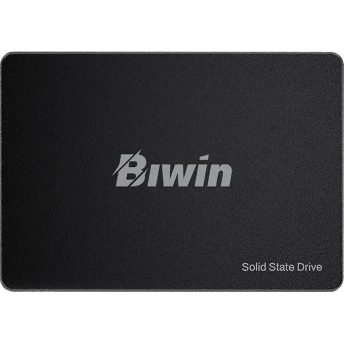 Накопитель SSD 256Gb Biwin M100 (BM100NN256G-RGX) - фото 3