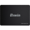 Накопитель SSD 256Gb Biwin M100 (BM100NN256G-RGX) - фото 3