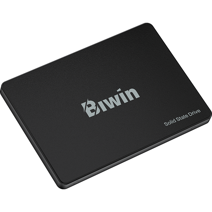 Накопитель SSD 256Gb Biwin M100 (BM100NN256G-RGX) - фото 4