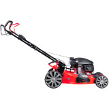 Газонокосилка Fubag FPL 56 SMH (46297)