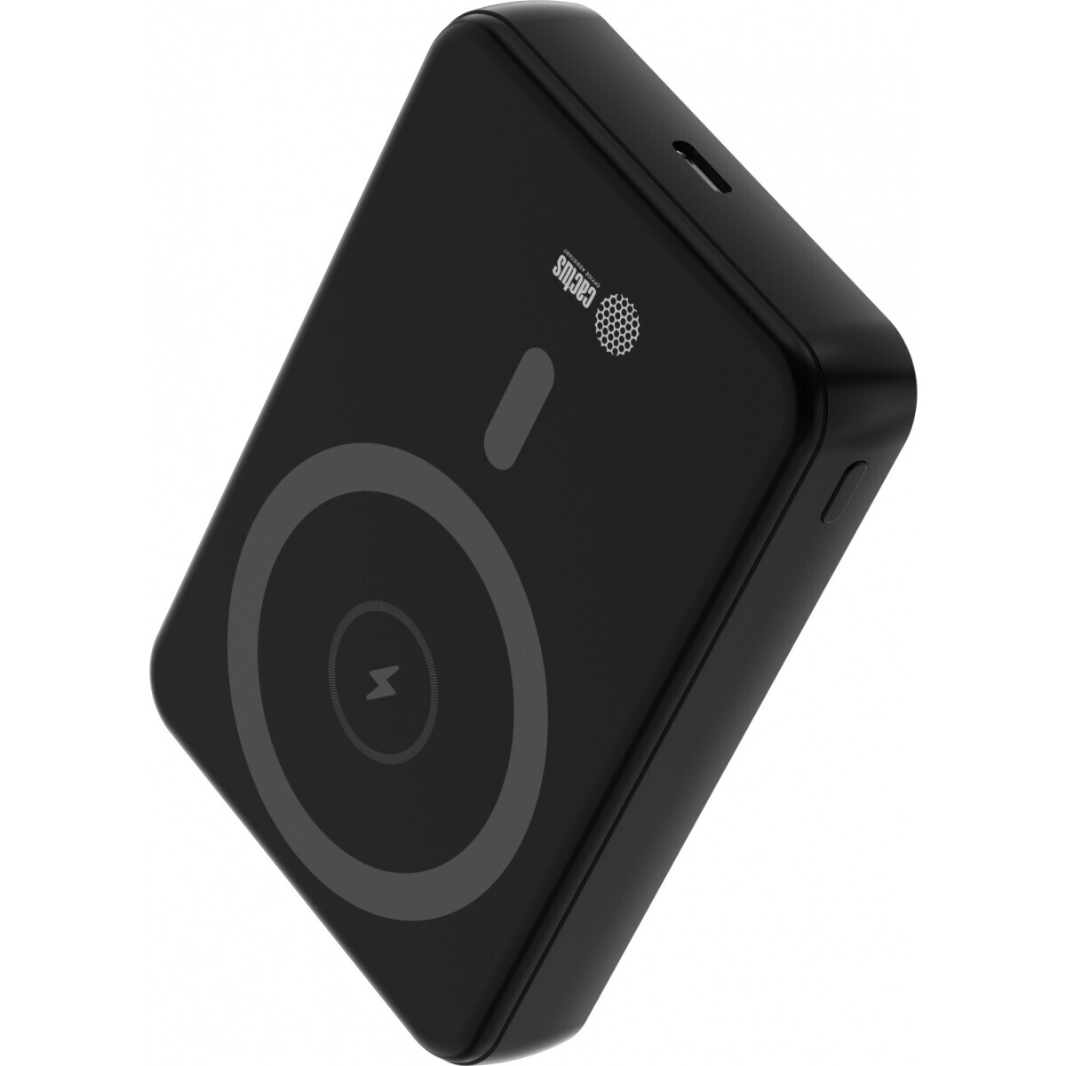 Внешний аккумулятор Cactus CS-PBFSUA-10000 - фото 2