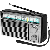 Радиоприёмник Ritmix RPR-131