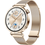 Умные часы Huawei Watch GT 5 41mm Gold (55020DGX) (55020DGX/JNA-B19)