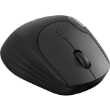 Мышь Rapoo MT560 Black