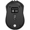 Мышь ExeGate Professional Standard SH-8012 OEM - EX298191RUS - фото 2