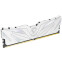 Оперативная память 16Gb DDR5 6000MHz Netac Shadow II White (NTSWD5P60SP-16W) - фото 3