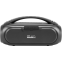 Портативная акустика Digma D-PS1530 Black - фото 4